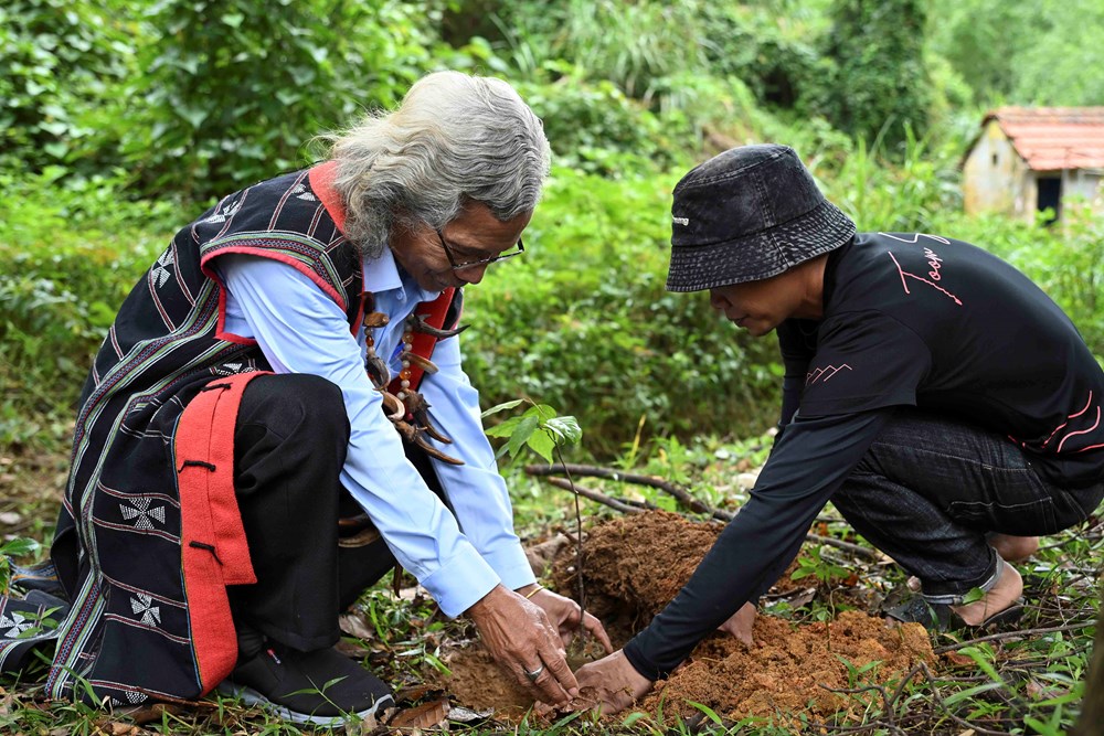 Chung tay trồng rừng bản địa gắn với du lịch sinh thái tại Đà Nẵng - ảnh 1