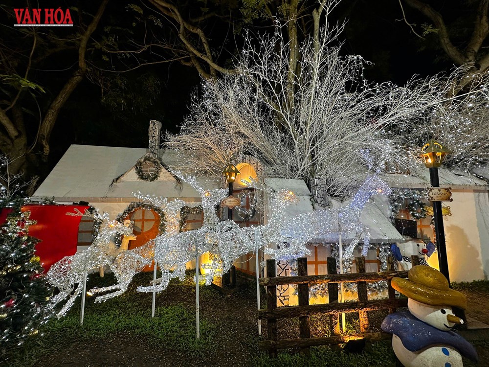 Đà Nẵng lung linh sắc màu Giáng sinh 2025 - ảnh 7
