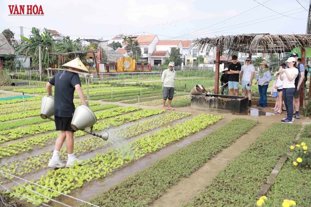 Du lịch xanh Đà Nẵng - từ nền tảng đến tương lai - ảnh 3