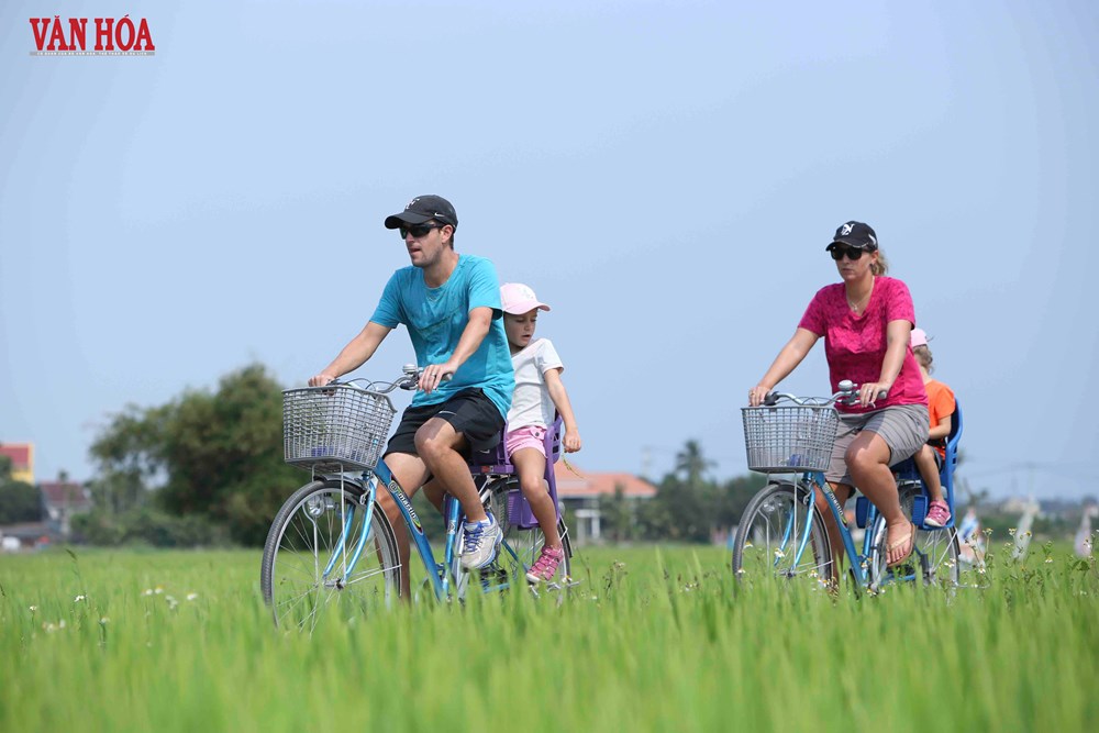 Du lịch xanh Đà Nẵng - từ nền tảng đến tương lai - ảnh 7