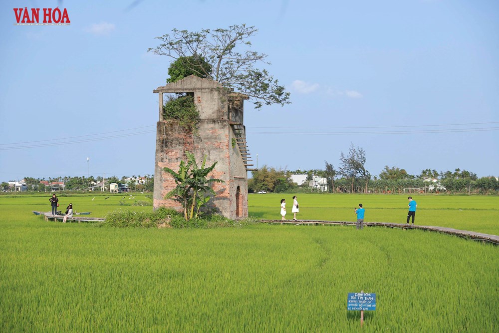 Dấu ấn quốc tế sau 5 năm và hướng phát triển mới trong không gian mở rộng - ảnh 4