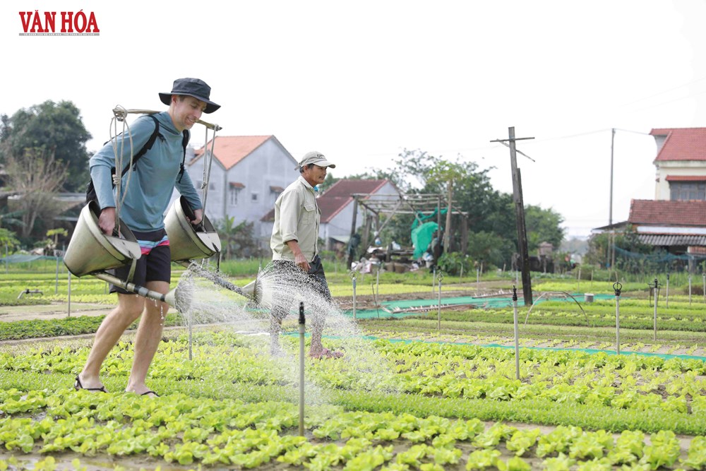 Tạo đà bứt phá trong giai đoạn phát triển mới - ảnh 3