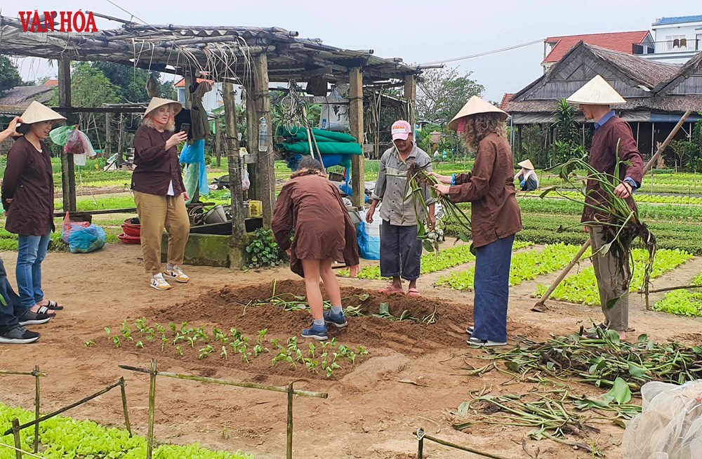 Du lịch xanh - “tấm vé” để Đà Nẵng chinh phục thị trường khách Âu - Mỹ - ảnh 3