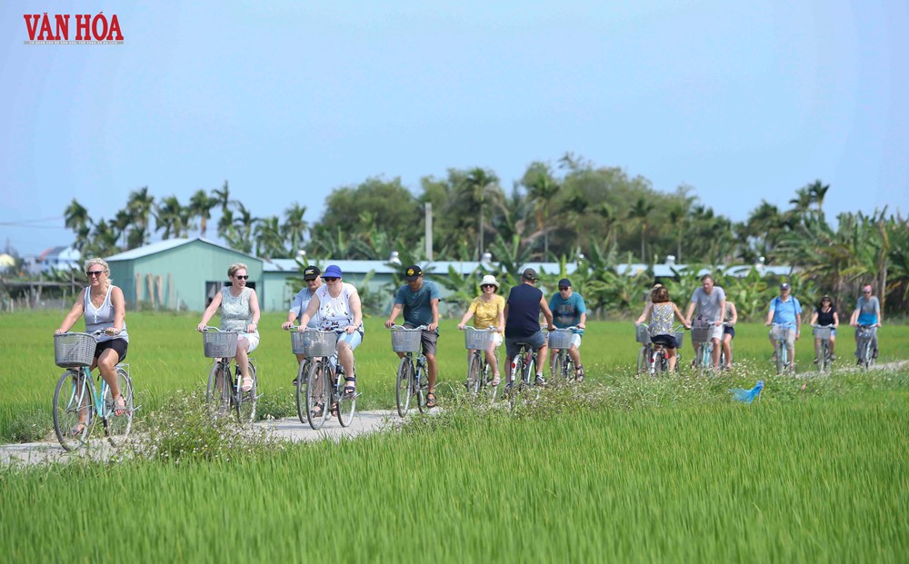 Du lịch xanh - “tấm vé” để Đà Nẵng chinh phục thị trường khách Âu - Mỹ - ảnh 1
