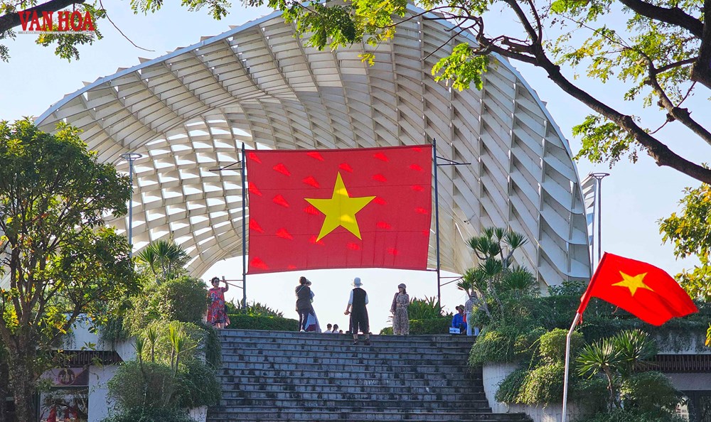 Phố phường Đà Nẵng rực rỡ cờ hoa chào mừng Đại hội XIV của Đảng - ảnh 8