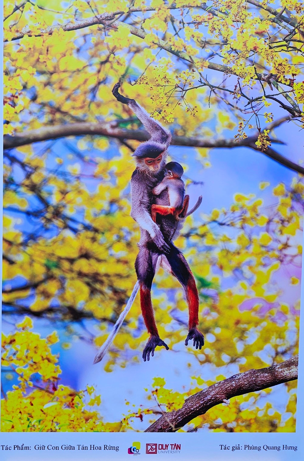 Đà Nẵng - hương vị cuộc sống qua ảnh - ảnh 5