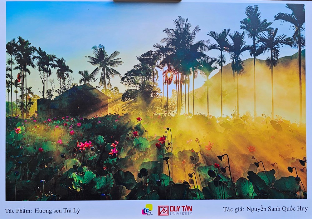 Đà Nẵng - hương vị cuộc sống qua ảnh - ảnh 15