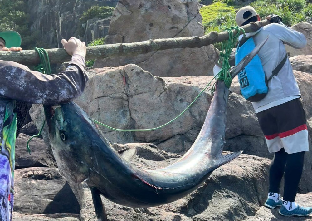 Chinh phục cá thu “khủng” 63kg giữa ghềnh đá Sơn Trà - ảnh 2