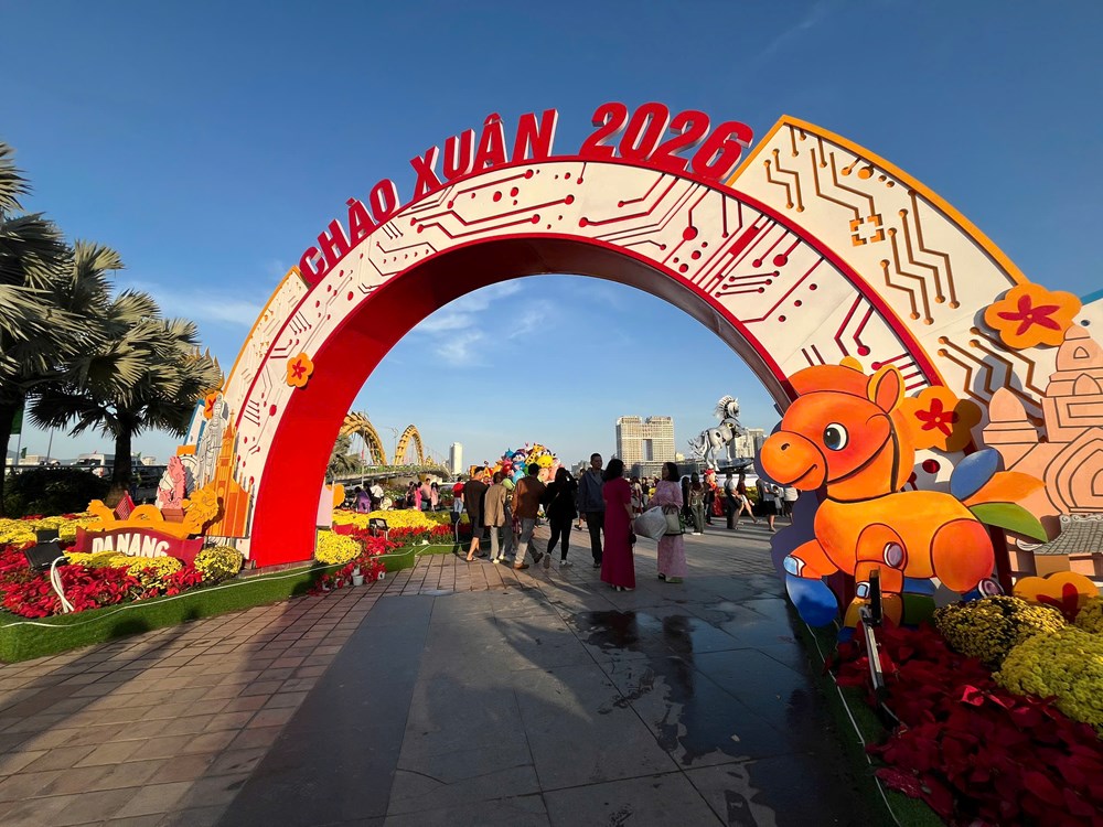 Người dân và du khách đổ về đường hoa Tết Đà Nẵng tham quan - ảnh 12