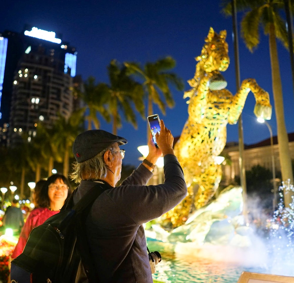 Người dân và du khách đổ về đường hoa Tết Đà Nẵng tham quan - ảnh 6