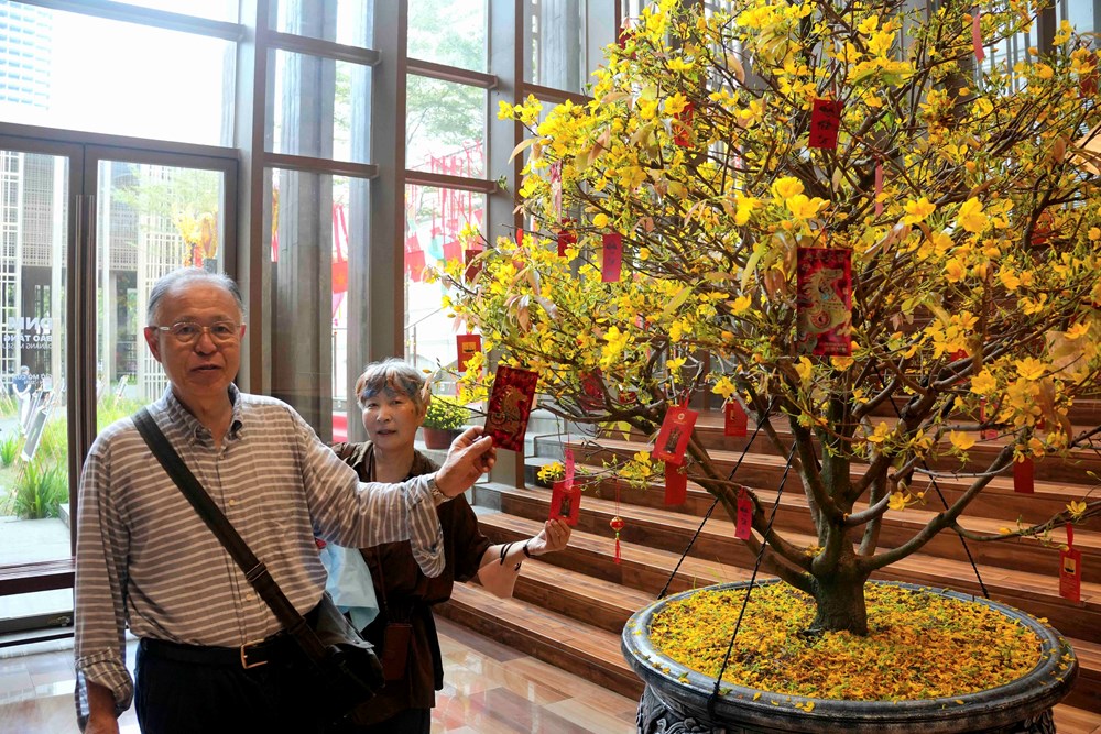 Hình ảnh du khách vui tươi đến Đà Nẵng ngày đầu Tết Bính Ngọ - ảnh 14