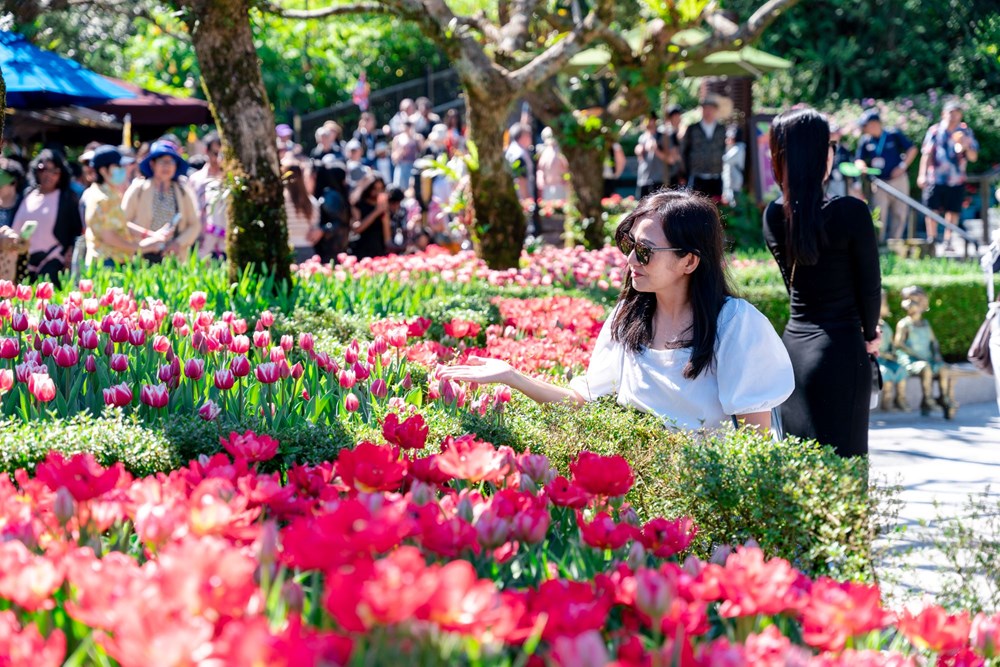 Các khu, điểm du lịch Đà Nẵng hút khách tham quan dịp Tết Bính Ngọ 2026 - ảnh 12