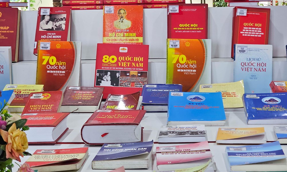 Đà Nẵng trưng bày tài nguyên thông tin và tuyên truyền, giới thiệu sách chào mừng Ngày bầu cử - ảnh 4