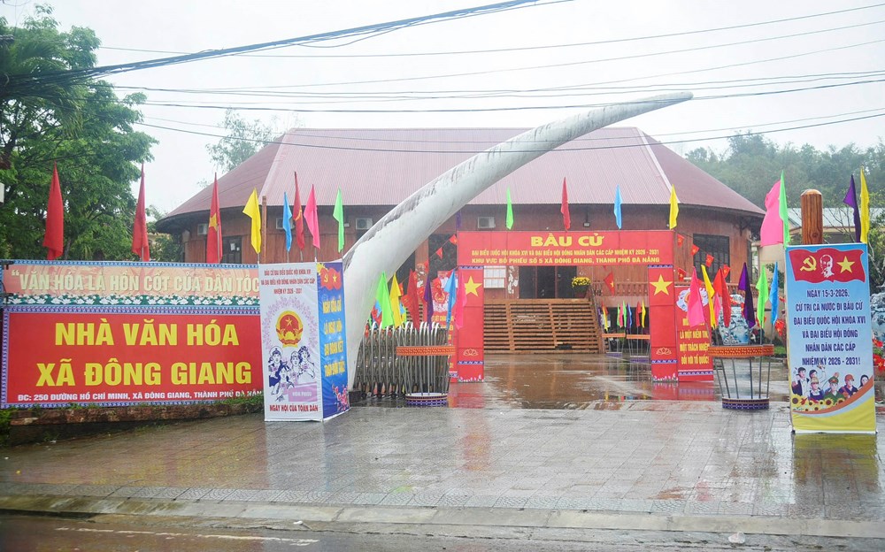 Không khí bầu cử rộn ràng ở vùng cao Đà Nẵng - ảnh 10