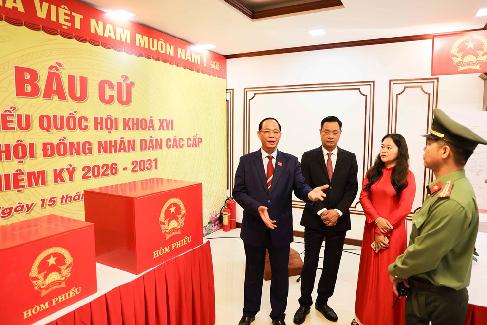 Cử tri Đà Nẵng phấn khởi đi bầu cử đại biểu Quốc hội và HĐND các cấp - ảnh 1