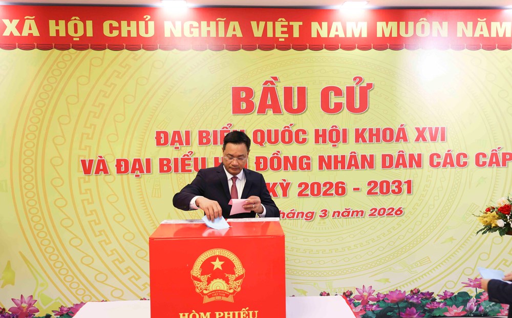 Cử tri Đà Nẵng phấn khởi đi bầu cử đại biểu Quốc hội và HĐND các cấp - ảnh 2