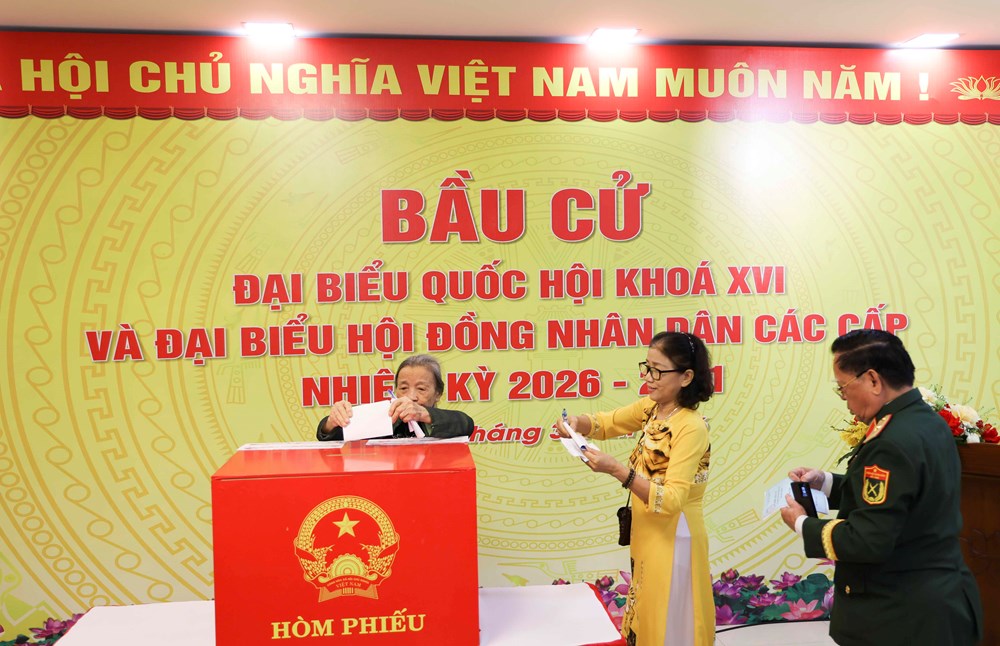 Cử tri Đà Nẵng phấn khởi đi bầu cử đại biểu Quốc hội và HĐND các cấp - ảnh 3