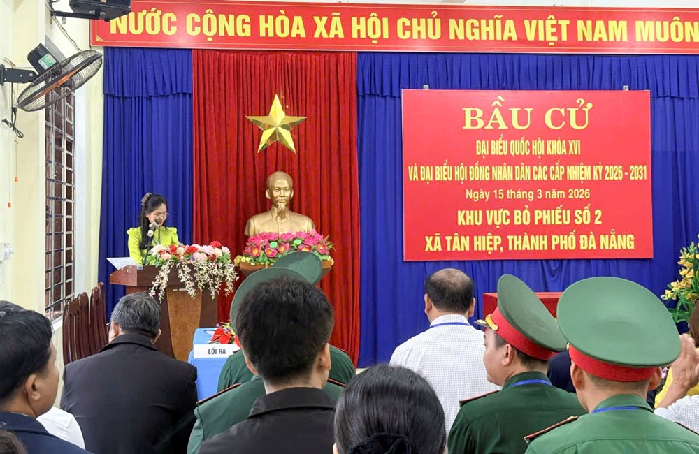 Cử tri Đà Nẵng phấn khởi đi bầu cử đại biểu Quốc hội và HĐND các cấp - ảnh 14