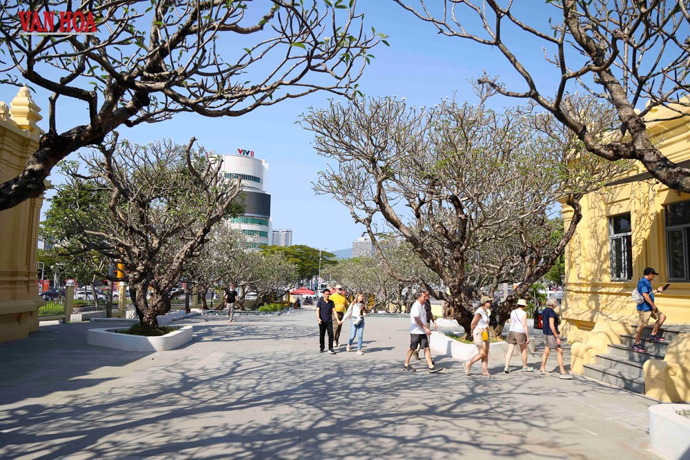 Bảo tàng Điêu khắc Chăm “khoác áo mới”, nâng tầm trải nghiệm di sản - ảnh 9