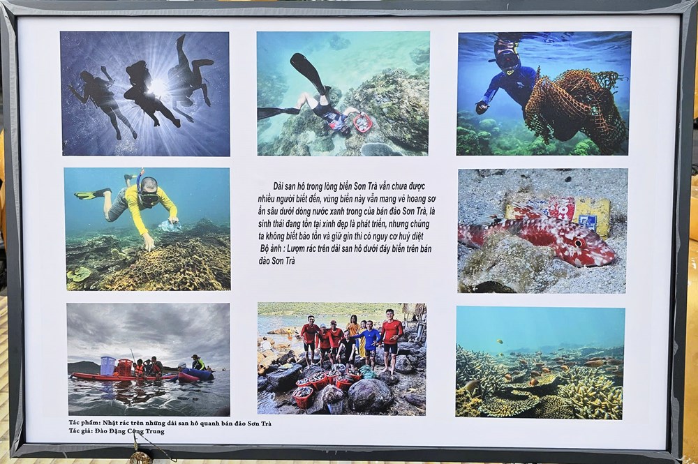 Lan tỏa thông điệp “giữ xanh biển Đà Nẵng” - ảnh 6