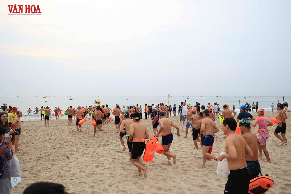 Gần 500 VĐV tranh tài Giải bơi biển “Vượt sóng mùa hè” Đà Nẵng 2026 - ảnh 1