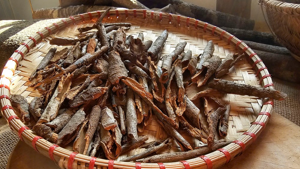 Kết nối “ba nhà” đưa Quế Trà My vươn xa - ảnh 8