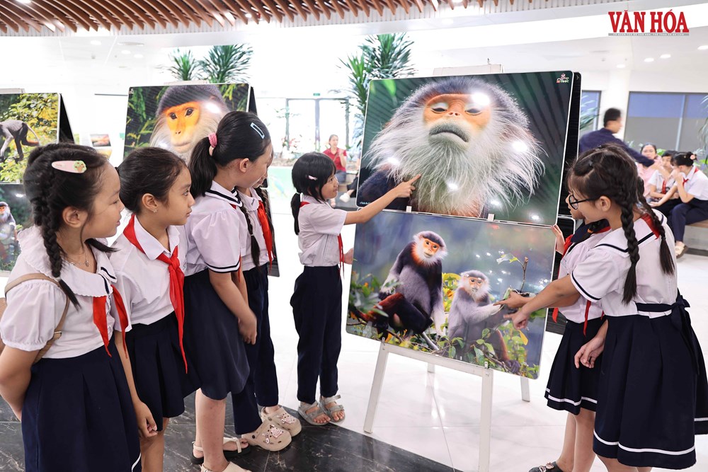Đà Nẵng: Học sinh chung tay lan tỏa thông điệp bảo vệ đa dạng sinh học - ảnh 6