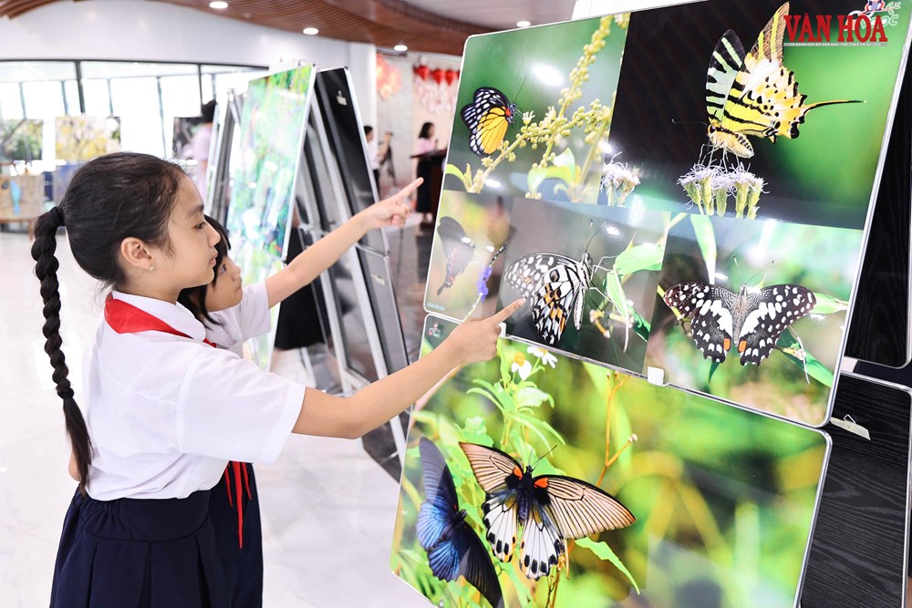 Đà Nẵng: Học sinh chung tay lan tỏa thông điệp bảo vệ đa dạng sinh học - ảnh 7
