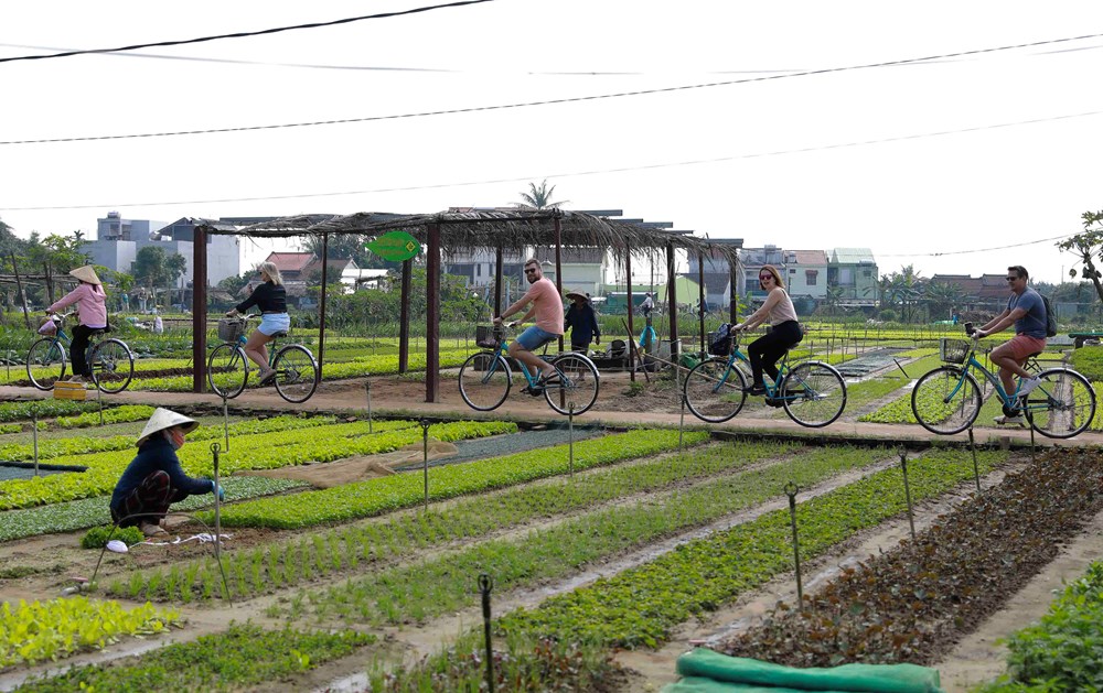Vì sao Đà Nẵng là điểm đến được yêu thích nhất mùa hè này? - ảnh 6