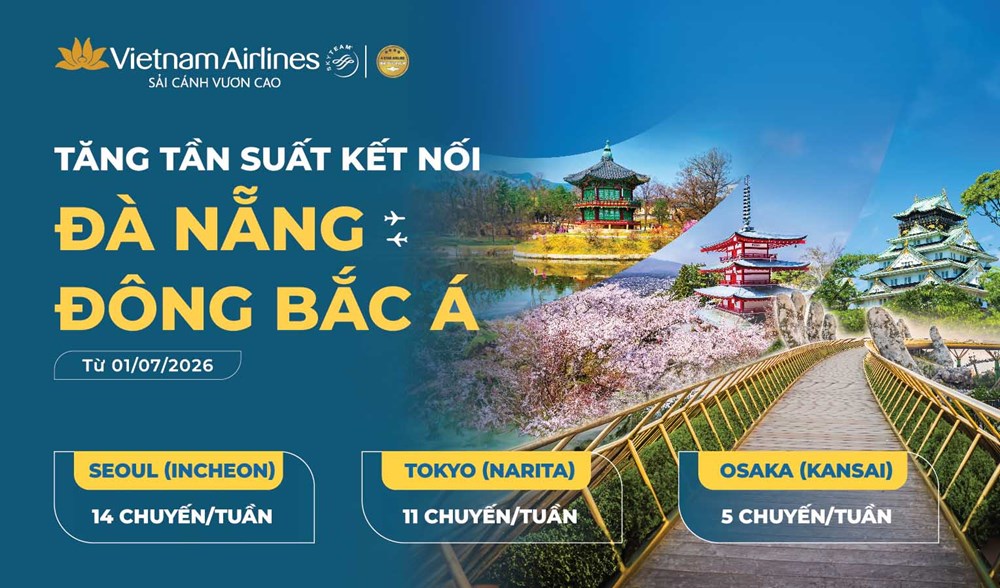 Tăng tần suất các đường bay từ Đà Nẵng đến Đông Bắc Á - ảnh 1