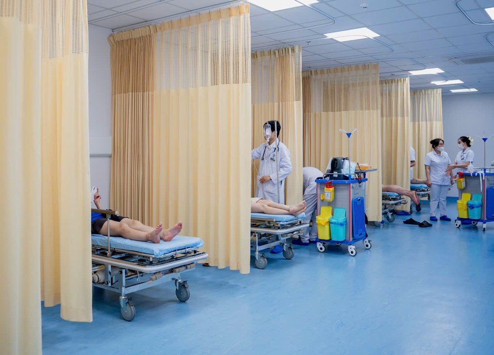 Kịp thời xử trí 8 ca bị ong vò vẽ đốt, bác sĩ khuyến cáo không chủ quan  - ảnh 1