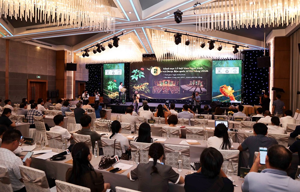 Đà Nẵng sẽ tổ chức Lễ hội Sâm Ngọc Linh và Dược liệu quốc tế 2026 - ảnh 1