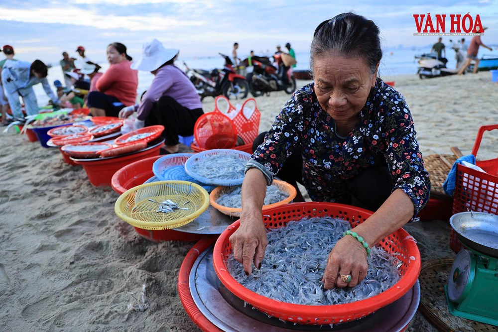 Du khách thích thú trải nghiệm “Đón nhịp chợ cá bình minh” - ảnh 3