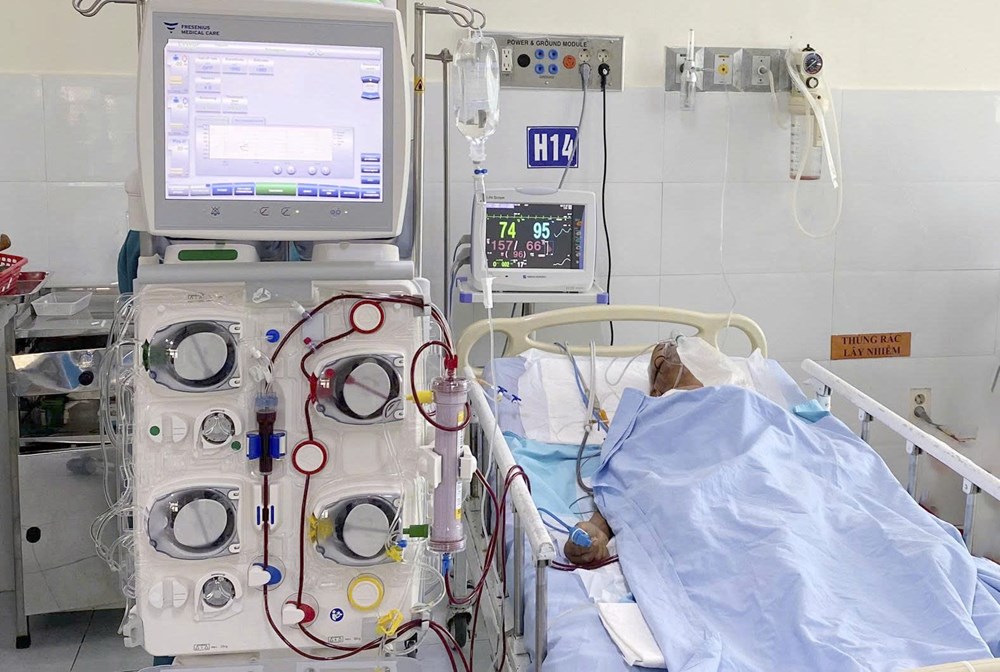 Cụ ông 98 tuổi hồi phục sau khi bị ong vò vẽ đốt gần 80 nốt - ảnh 2