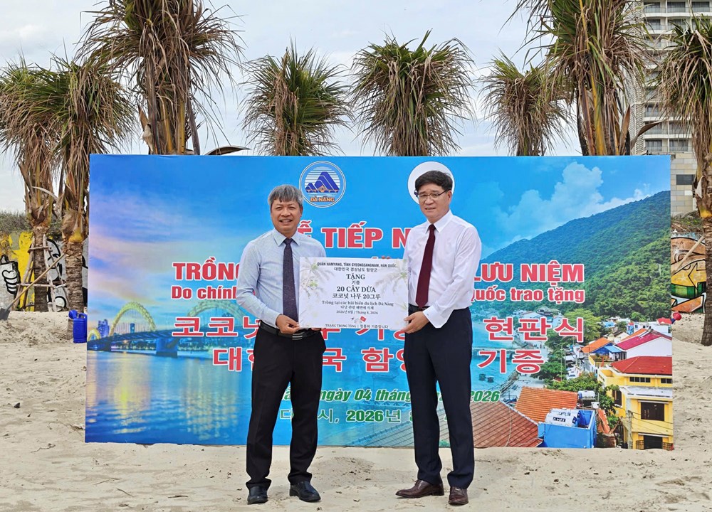 Đà Nẵng tiếp nhận dự án trồng dừa chống xói mòn bờ biển từ quận Hamyang  - ảnh 1