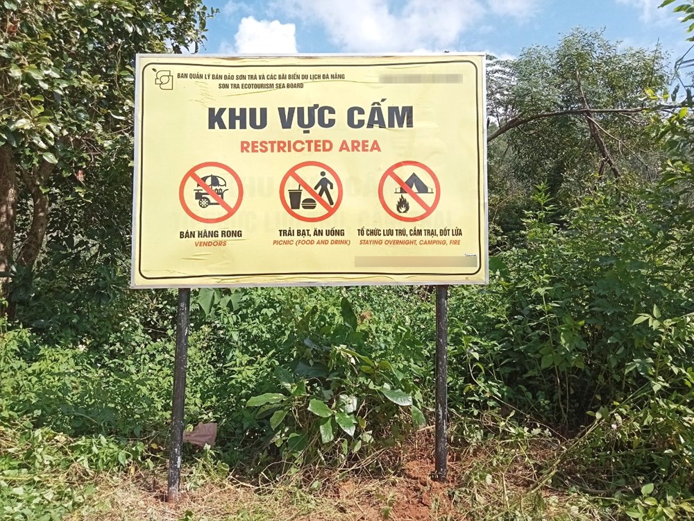 Đến bán đảo Sơn Trà, đừng vượt biển cấm! - ảnh 5