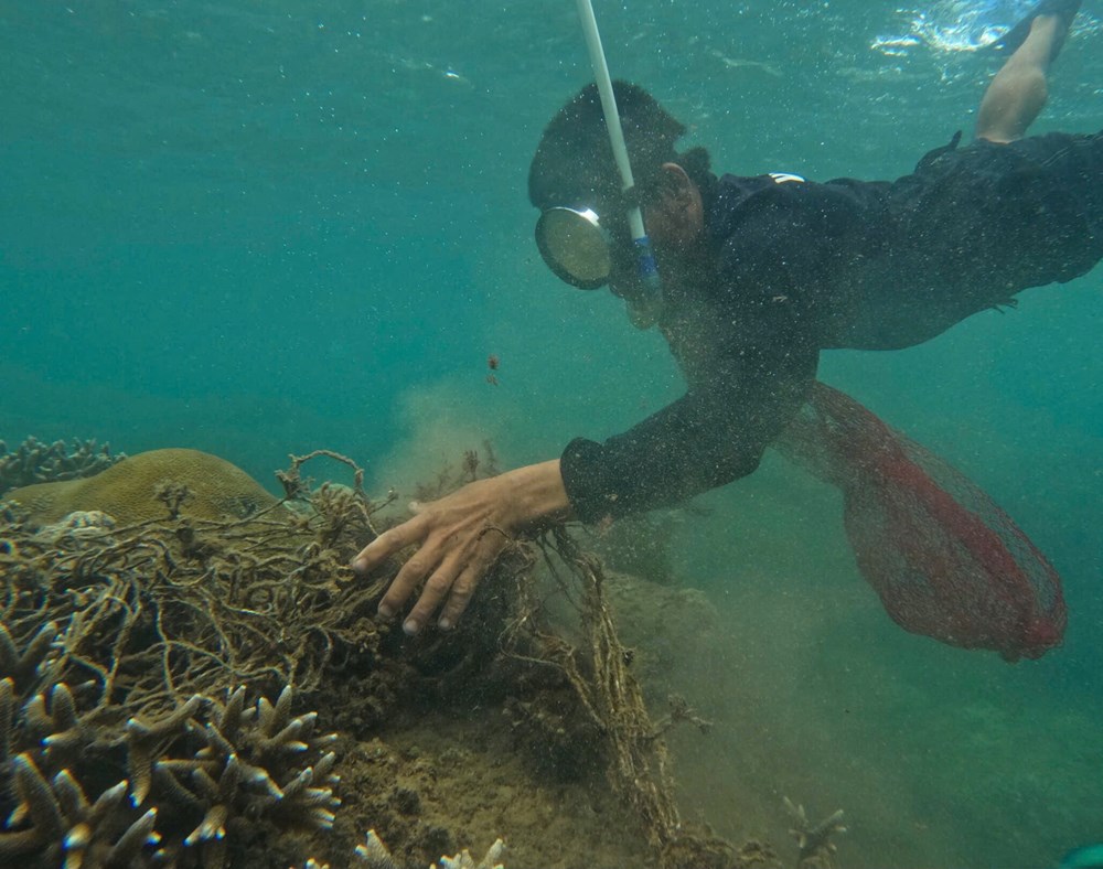 Khen thưởng nhóm Danang FreeDiving vì những đóng góp bảo vệ môi trường biển - ảnh 2