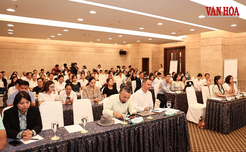 Đà Nẵng tập huấn áp dụng Bộ tiêu chí cơ sở lưu trú du lịch xanh - ảnh 3