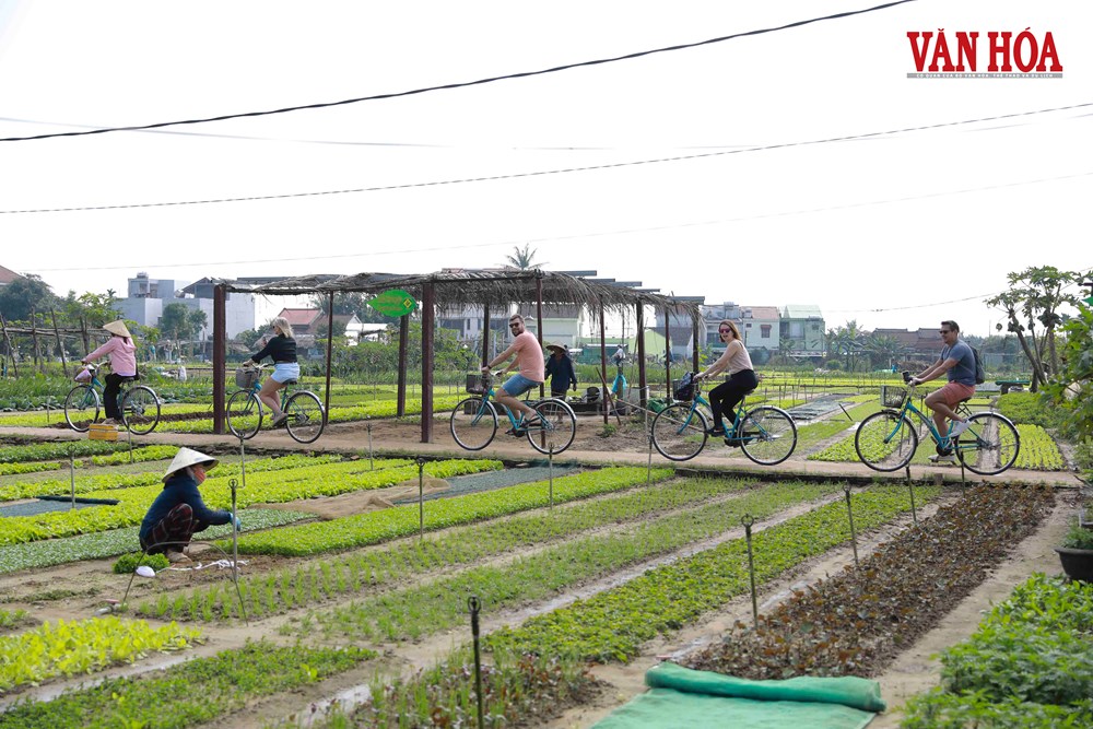 Đà Nẵng thúc đẩy chuyển đổi xanh, hướng tới phát triển du lịch bền vững - ảnh 6