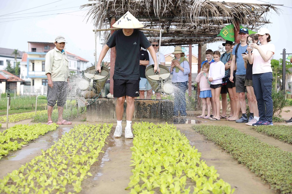 Du lịch xanh: Đà Nẵng tìm lời giải cho bài toán phát triển bền vững - ảnh 7