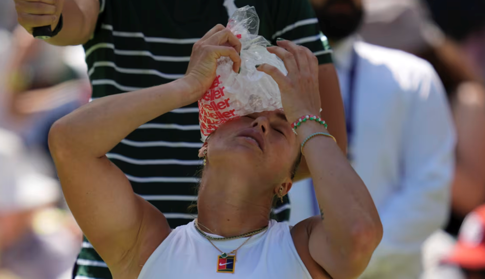Giải quần vợt Wimbledon khai mạc trong nắng nóng gay gắt - ảnh 1