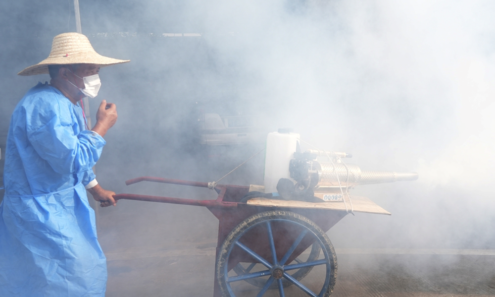 Khuyến cáo ban đầu cho người dân về dịch bệnh Chikungunya từ muỗi - ảnh 1