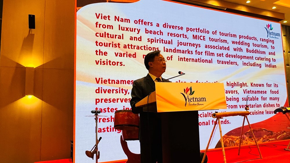 Quảng bá du lịch Việt Nam, kết nối doanh nghiệp du lịch Ấn Độ - ảnh 2