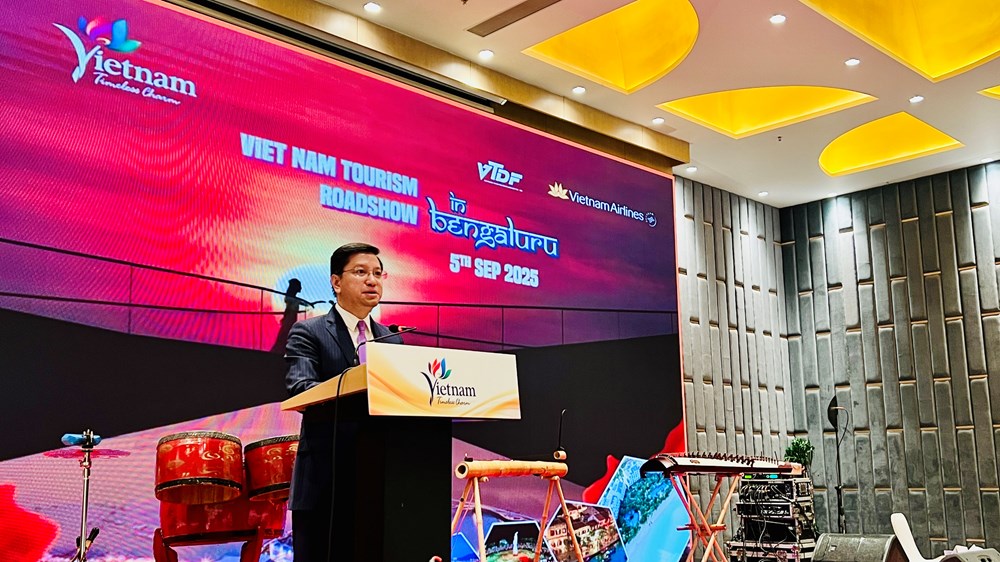 Quảng bá du lịch Việt Nam, kết nối doanh nghiệp du lịch Ấn Độ - ảnh 6