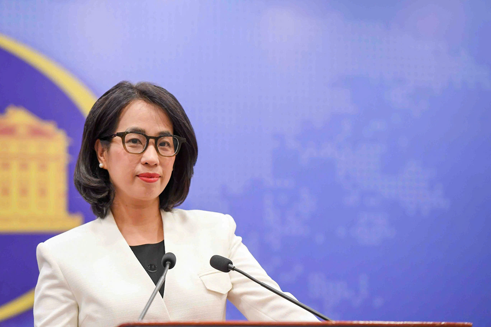 Việt Nam hoan nghênh Timor Leste trở thành thành viên chính thức của ASEAN - ảnh 1