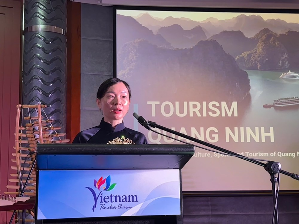 Quảng bá, xúc tiến du lịch Việt Nam tại Australia - ảnh 3