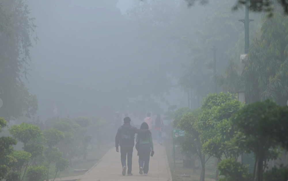 New Delhi ngộp thở trong biển khói độc, gây gián đoạn cuộc sống người dân - ảnh 2