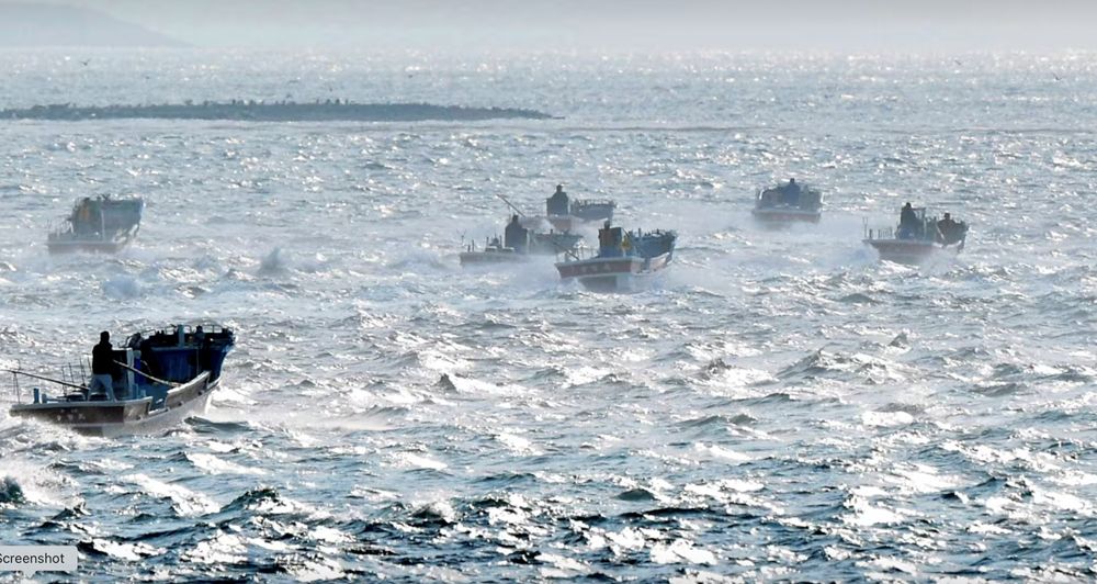 Biến đổi mực nước biển kỳ lạ nhất Trái đất xảy ra ngoài khơi Nhật Bản - ảnh 1