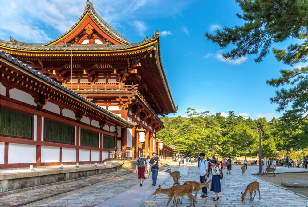 Văn hoá đặc sắc tạo nên sức hút bền bỉ cho thành phố Nara (Nhật Bản) - ảnh 1
