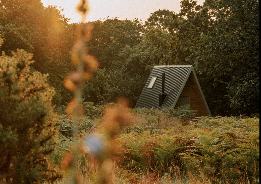 Những xu hướng lớn định hình du lịch toàn cầu năm 2026 - ảnh 2